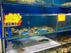 水产区-蚝专家(北滘店)