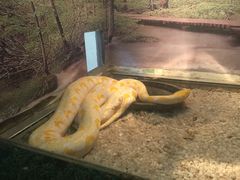 -石家庄市动物园