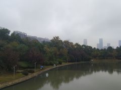 -天鹅湖体育公园