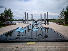 -杭州湾海上花田景区