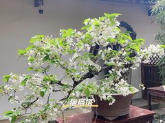 -成都杜甫草堂博物馆