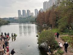 -重庆彩云湖湿地公园