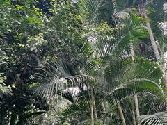 -郑州植物园