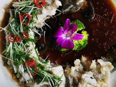 -阿湾楼·温州海鲜·江浙菜(京江路店)