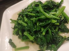 清炒高山豆苗-新南华大酒店(长寿店)