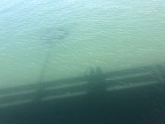 -乔木提恩海滩
