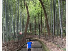 -杭州黄龙洞