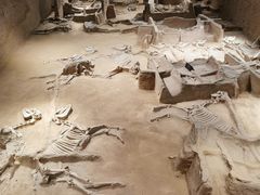 -洛阳周王城天子驾六博物馆