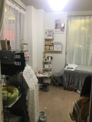 -糖·美学·美甲