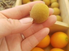 -不觉晓CAMPING(上海迪士尼营地店)