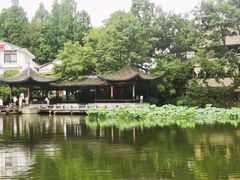 -杭州植物园