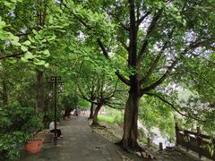 -成都市活水公园