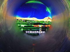 -海合安青岛极地海洋公园