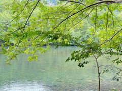 -楠溪江风景名胜区