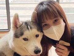 -Husky Go! 哈士奇体验馆·宠物咖啡厅狗咖