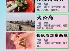 -巧克力渔家.小船海鲜胶东菜(万平口店)