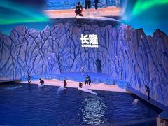 -珠海长隆海洋王国
