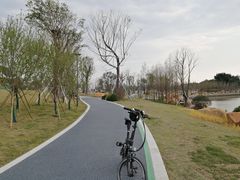 -光明港公园