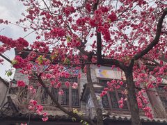 -阿鹏故事云南野生菌火锅(人民路店)
