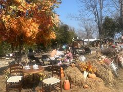 -HERRE·FARM 赫尔露营农场·团建聚会包场