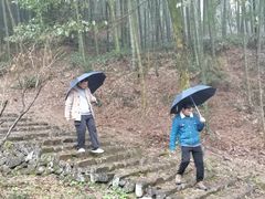 -仙霞关景区