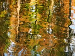 -白鹭湾湿地公园