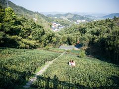 -乌镇景区