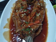 -潮隆牛肉美食城(莲花路店)