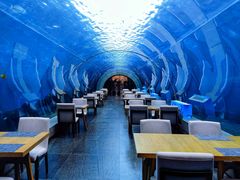 -涛·海底餐厅·美人鱼·自助餐·海底隧道(三亚海棠湾洲际度假酒店)