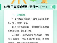 -瑞派申生动物医院·24H夜诊·国际动物医疗中心·骨外科(吴中路店)