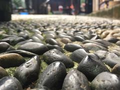 -都江堰普照寺