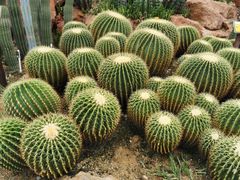 -华南国家植物园-售票处