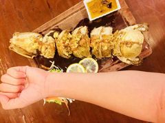 -茉莉.Red Crab