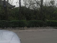 -三圣花乡旅游区