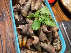 钉螺-柿子树炭烤羊腿(金台路店)