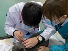 -pd派德宠物中心医院24H急重症·眼科中心·血液透析中心(嵩山北路店)