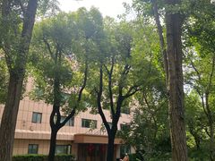 -上海延安饭店