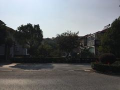 -华西村