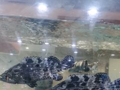-方鼎食府