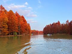 -上海海湾国家森林公园