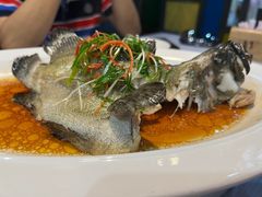 老虎斑-79号渔船海鲜饭店(华强北店)