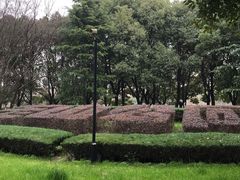 -玉山公园