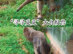 -深圳野生动物园