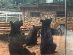 -昆明动物园