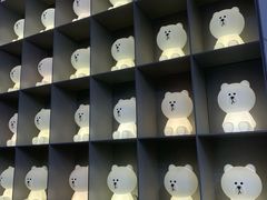 -line friends(明洞旗舰店)