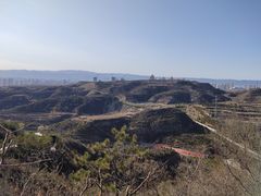-五龙城郊森林公园