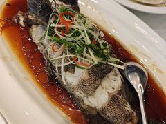 清蒸石斑鱼-老洋房花园饭店(绍兴路店)