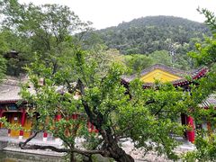 -华清宫景区
