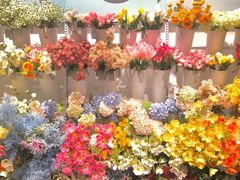 -KKV(深圳宏发大仟里店)