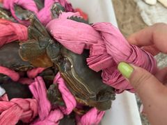 -北海金海湾红树林生态旅游区